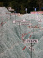 Ausschnitt von der "Mapa en Relieve" - Topographische Karte von Guatemala - Mehr