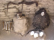 "Cementerio Arqueol�gico de Chauchilla" - ein Gr�berfeld aus der Pr�inkazeit, auf dem die typischen Langsch�del gefunden wurden. Knochen, Sch�del und Textilfetzen, die �berall herumlagen, wurden von Arch�ologen in freigelegte Grabkammern gesetzt.